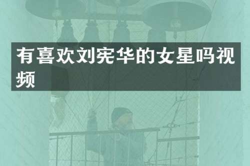 有喜欢刘宪华的女星吗视频