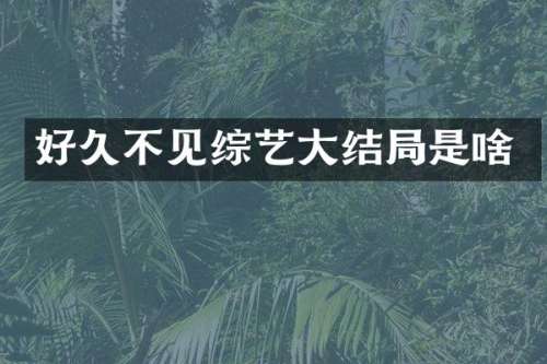 好久不见综艺大结局是啥