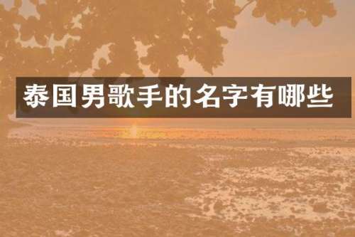 泰国男歌手的名字有哪些