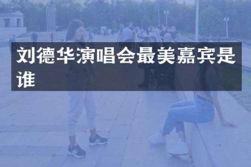 刘德华演唱会最美嘉宾是谁