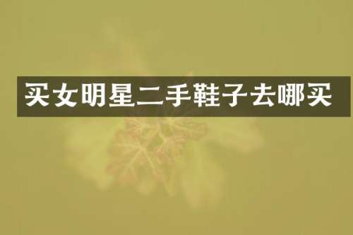 买女明星二手鞋子去哪买
