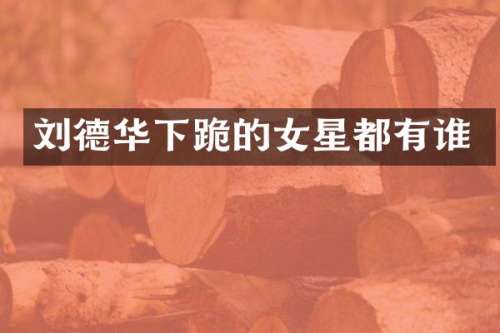 刘德华下跪的女星都有谁