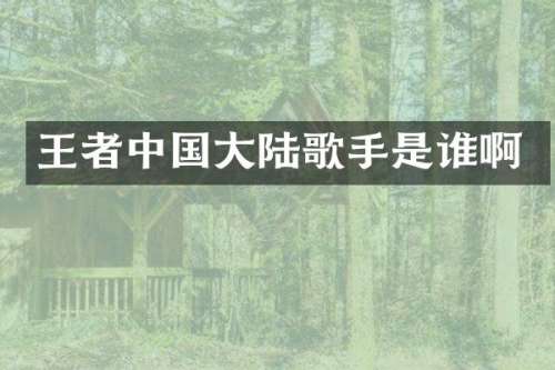 王者中国大陆歌手是谁啊