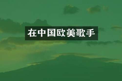 在中国欧美歌手