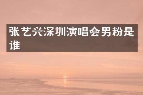 张艺兴深圳演唱会男粉是谁