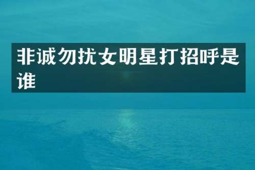 非诚勿扰女明星打招呼是谁
