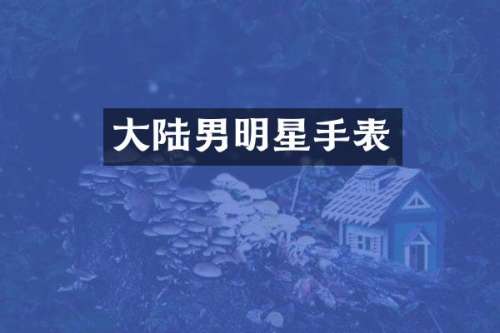 大陆男明星手表