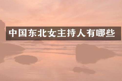 中国东北女主持人有哪些