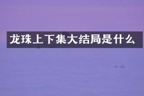 龙珠上下集大结局是什么