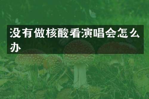 没有做核酸看演唱会怎么办