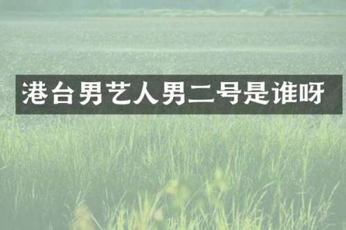 港台男艺人男二号是谁呀