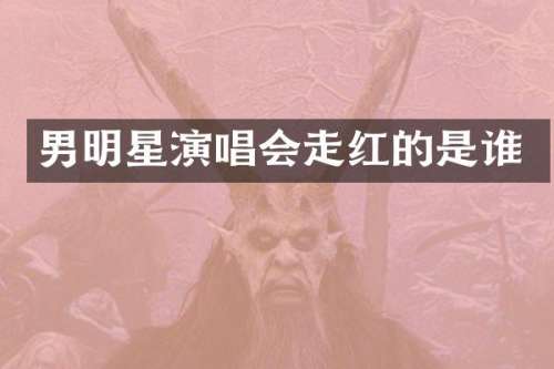 男明星演唱会走红的是谁
