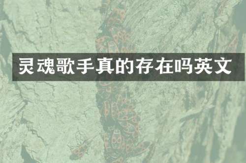 灵魂歌手真的存在吗英文