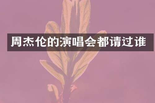 周杰伦的演唱会都请过谁