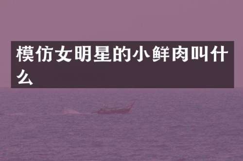 模仿女明星的小鲜肉叫什么