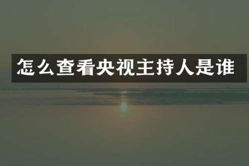 怎么查看央视主持人是谁