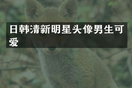 日韩清新明星头像男生可爱