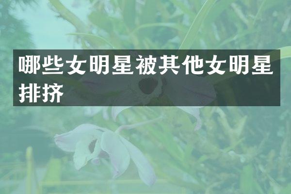 哪些女明星被其他女明星排挤