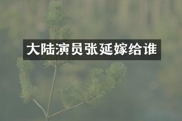 大陆演员张延嫁给谁