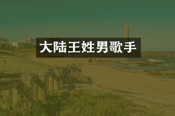 大陆王姓男歌手
