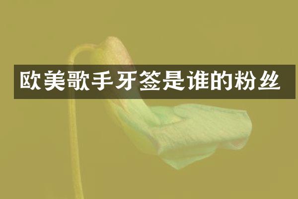 欧美歌手牙签是谁的粉丝