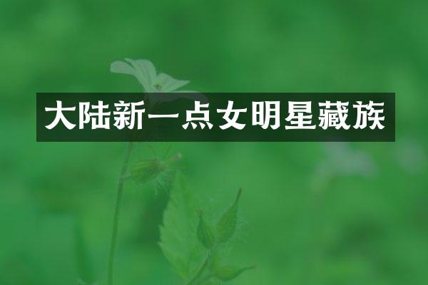大陆新一点女明星藏族