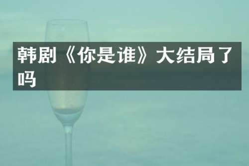 韩剧《你是谁》大结局了吗