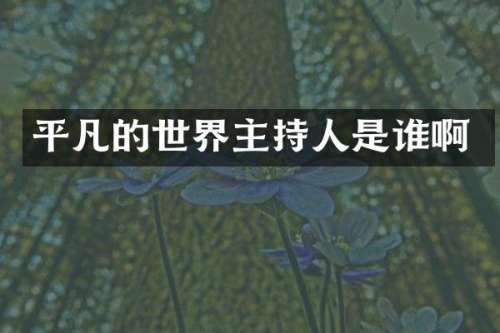 平凡的世界主持人是谁啊