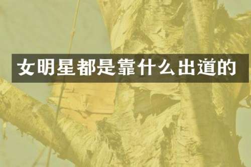 女明星都是靠什么出道的