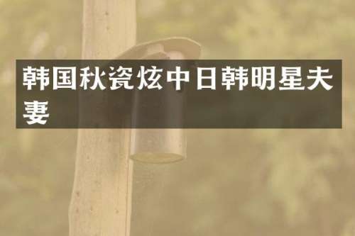 韩国秋瓷炫中日韩明星夫妻
