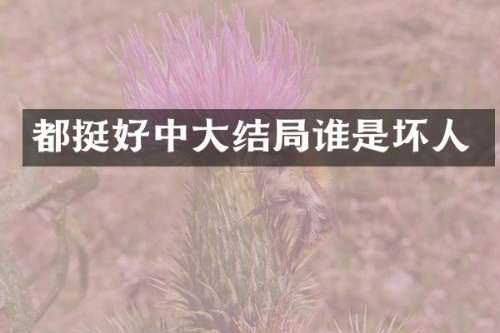 都挺好中大结局谁是坏人