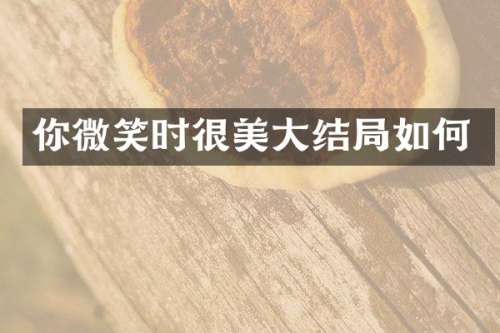 你微笑时很美大结局如何