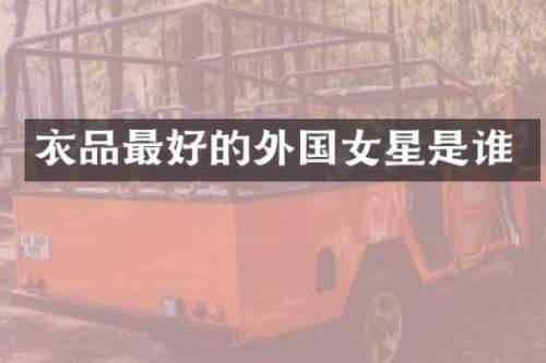 衣品最好的外国女星是谁