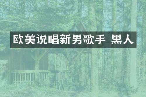 欧美说唱新男歌手 黑人