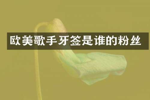 欧美歌手牙签是谁的粉丝
