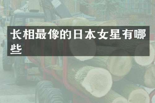 长相最像的日本女星有哪些