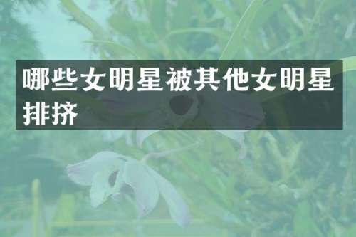 哪些女明星被其他女明星排挤