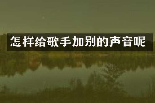 怎样给歌手加别的声音呢