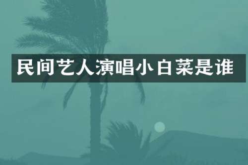 民间艺人演唱小白菜是谁