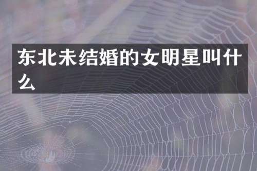 东北未结婚的女明星叫什么