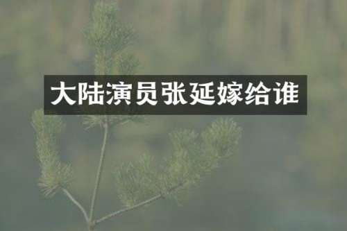 大陆演员张延嫁给谁