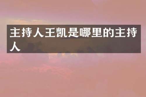 主持人王凯是哪里的主持人