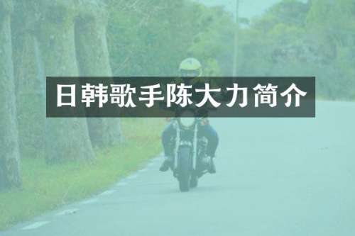 日韩歌手陈大力简介
