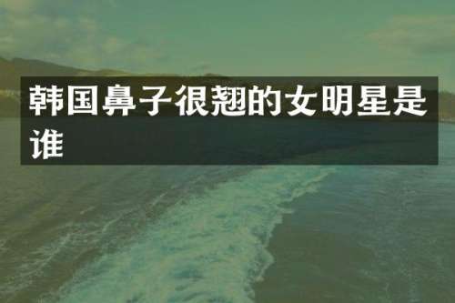 韩国鼻子很翘的女明星是谁