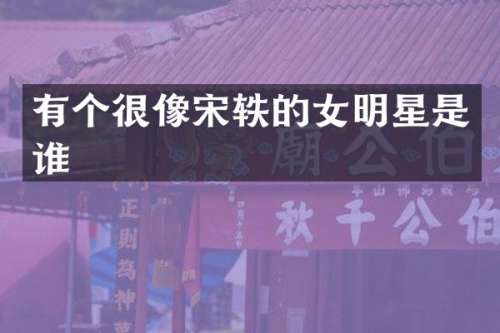 有个很像宋轶的女明星是谁