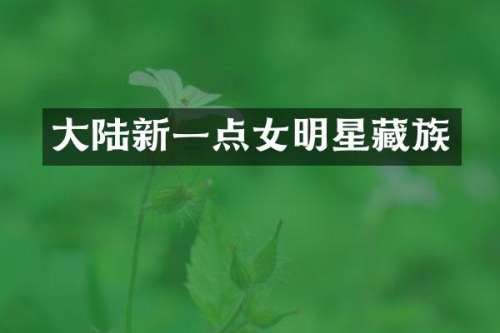 大陆新一点女明星藏族