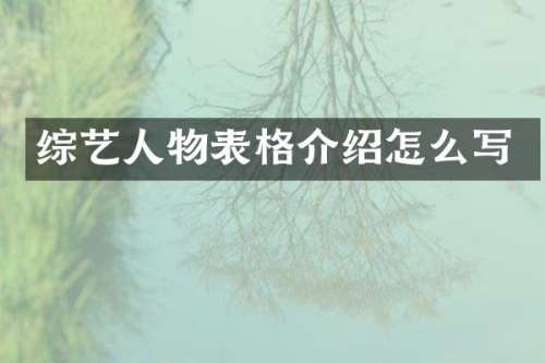 综艺人物表格介绍怎么写