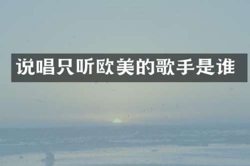 说唱只听欧美的歌手是谁