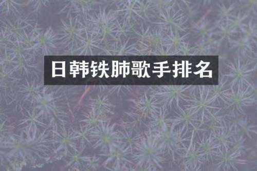 日韩铁肺歌手排名