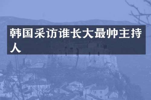 韩国采访谁长大最帅主持人